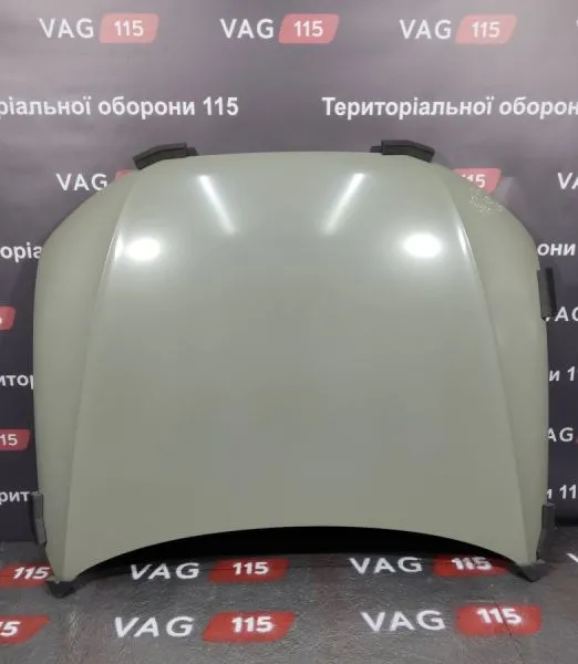 PAD20023A Капот - 8K0823029H