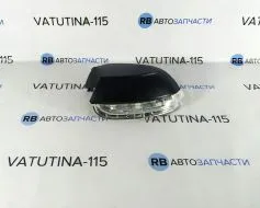 Покажчик повороту в дзеркалі R - 3C8949102/D