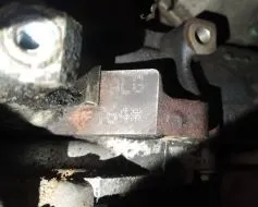 ALG фото 8657