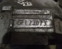 GFL фото 8900